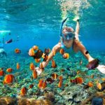 Matinloc island nido el tour hopping private destination
